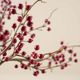 Magnolia Home by Joanna Gaines Red Berry Pick-1