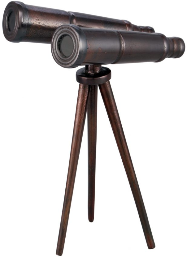 Moe's Home Collection Bronze Binoculars-2