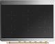 Ilve® Majestic III 36" Blue Gray Pro Style Induction Range with Triple Glass Door and Brass Trim-3
