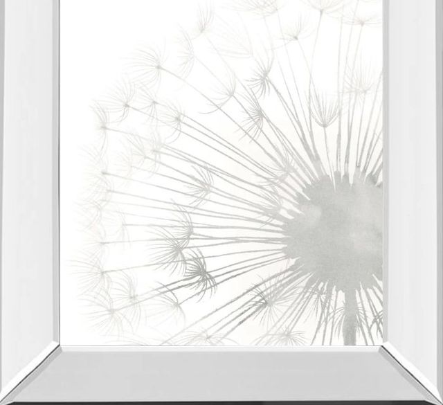 Classy Art Dandelion Whisper II by Grace Popp Mirror Framed Wall Art-1