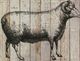 Stylecraft Farm Life II Brown/Black Wall Art-1