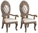 ACME Furniture Constantine 2-Piece Brown/Gold Arm Chair Set-0