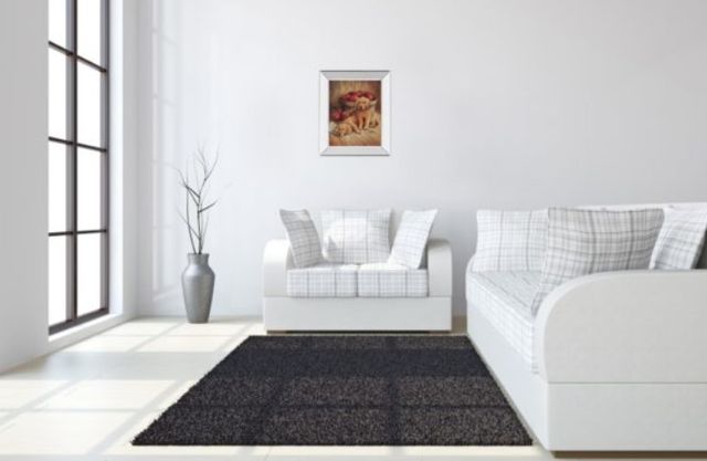 Classy Art Yellow Labs Wall Art-2
