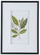 A & B Home 2-Piece Black/Green/White Wall Art Set-2