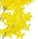 A & B Home Yellow Stephanotis-2