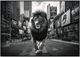 Classy Living Untamed Majestic Lion in the Urban Jungle Wall Art-0
