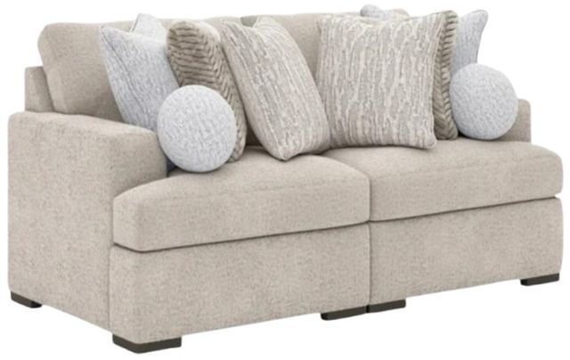 Signature Design by Ashley® Cuddle Plush 2-Piece Arctic Modular Sectional-0