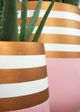 Le Present Belly Pink and White 12" Planter-3
