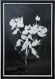 Stylecraft Black/White Wall Art-0