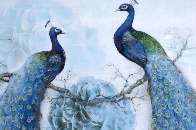 Classy Art Peacocks Wall Art-1