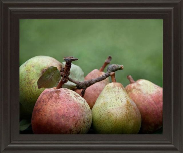 Classy Art Comice Pear Il by Rachel Perry Wall Art-0
