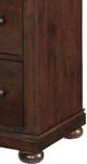 Legacy Kids Teen Canterbury Warm Cherry Youth Dresser-2