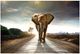 Classy Living Elephant Journey Wall Art-0