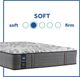 Sealy® Posturepedic® Plus Satisfied II 13" Innerspring Plush Tight Top Twin XL Mattress-4