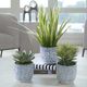Uttermost® Puebla 3-Piece Blue/White Greenery Pots Set-1