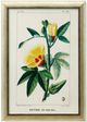 Stylecraft Green/Off-White/Yellow Wall Art-0