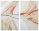 Renwil® Curiosity 2-Piece Wall Art Set-0