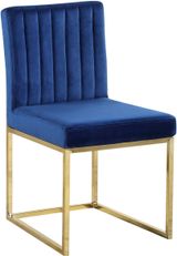 Navy-Gold
