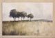 Stylecraft Shade Trees Wall Art-1