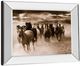 Classy Living Monte Naglar Running Horses Wall Art-3