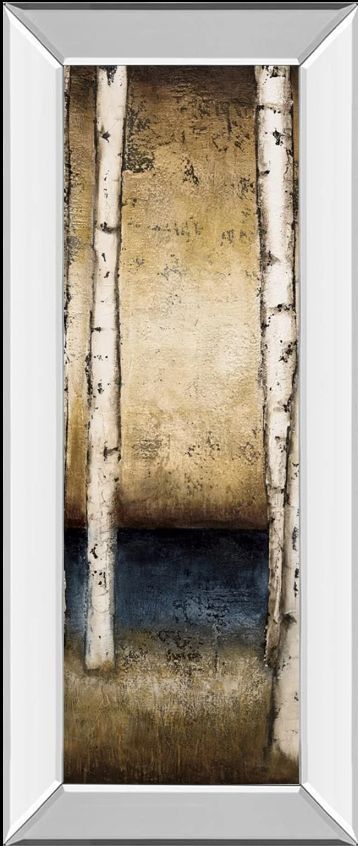 Classy Art Birch Landing II by St Germain Mirror Framed Wall Art-0