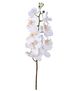 A & B Home Cream Faux Orchid-0