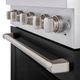 ZLINE Paramount Series 30" Stainless Steel Pro Style Dual Fuel Range with Black Matte Door-4