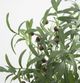A & B Home Green 42.5" Artificial Olive Tree with Fruit-1