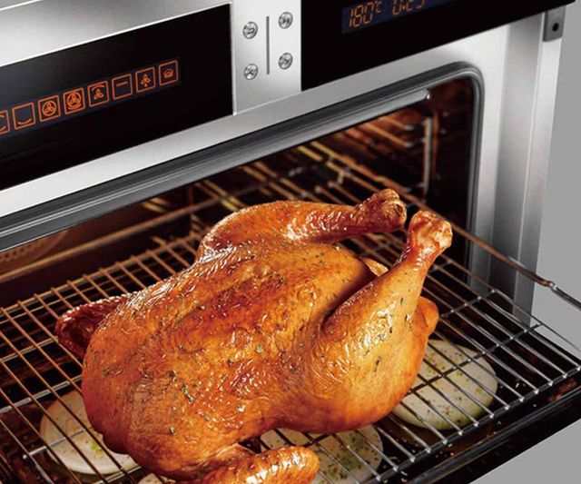 FOTILE MASTER Series 24" Black Electric Oven-2
