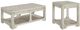 Signature Design by Ashley® Fregine 2-Piece Whitewash Living Room Tables Set-0