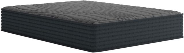 Sierra Sleep® by Ashley 12" Hybrid Firm Tight Top Queen Mattress