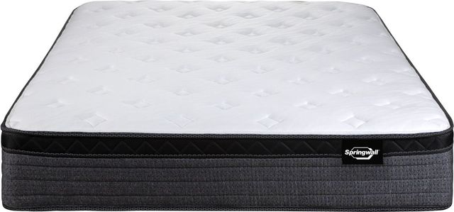 Springwall Sleep Products Eclipse 12" Wrapped Coil Plush Euro Top Queen Mattress in a Box-1