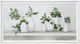StyleCraft Plant Life Wall Art-0