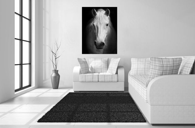 Classy Living White Horse Wall Art-1