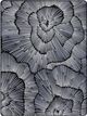Serta® Perfect Comfort X™ X-alt 14" Innerspring Medium Euro Top Full Mattress-4
