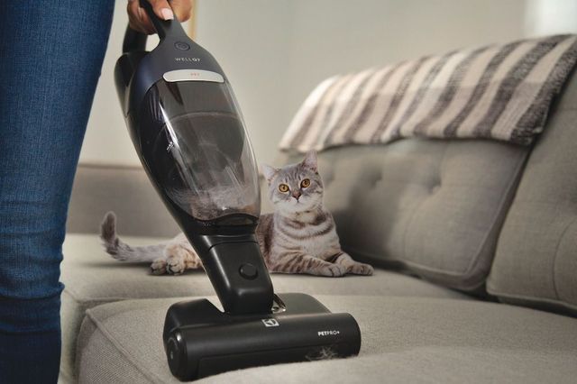 Electrolux WellQ7™ Indigo Blue Pet Upright Vacuum -2