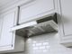 XO 48" Stainless Steel Under Cabinet Range Hood-2
