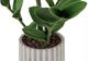 Monarch Specialties Inc. Green/White 20" Tall Artificial Potted Zz-1