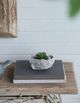 A & B Home Skye Heart-Winged Decorative Bowl-5