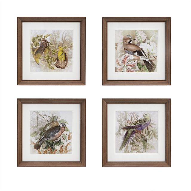 Olliix by Martha Stewart Pretry Bird 4 Piece Set Multi-Colored Double Mat Framed Graphic-0
