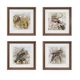 Olliix by Martha Stewart Pretry Bird 4 Piece Set Multi-Colored Double Mat Framed Graphic-0