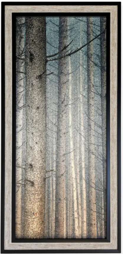 Stylecraft Forest Dreaming I Black/Light Brown/Light Gray Wall Art -0