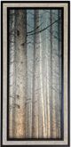 Stylecraft Forest Dreaming I Black/Light Brown/Light Gray Wall Art -0