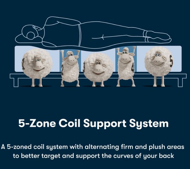Serta Zoned Support Illustration of mattress support zones for spinal alignment