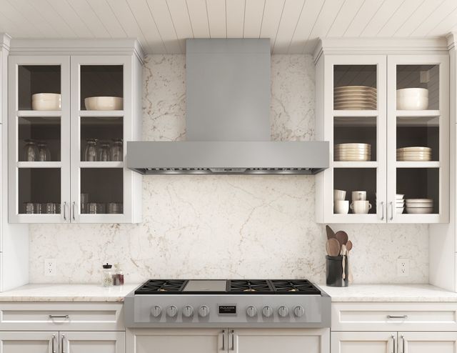 Zephyr Roma Pro 48" Stainless Steel Wall Mounted Range Hood with TruHue™-1