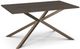 Amisco Customizable Asterisk 60" Rectangular Table with Metal Stand-0