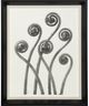 Stylecraft Plant 3 Blossfeldt Wall Art-0