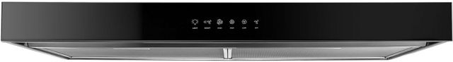 Amana® 30" Stainless Steel Under the Cabinet Range Hood-0