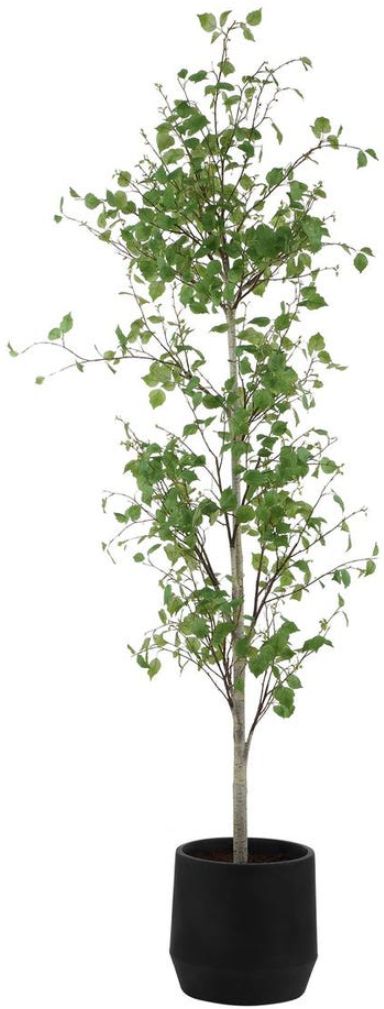 Uttermost® Boreal Aged Gray/Green Potted Birch Tree-2