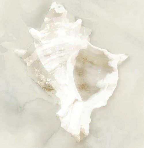 Classy Art Soft Sand and Shell I by Susan Jill White Wall Art-1